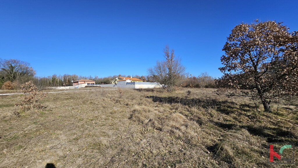 Image 6230862 - 10