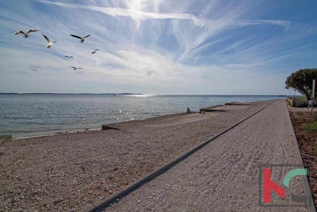 Image 6230865 - 2