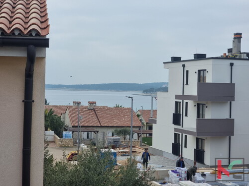 Thumbnail 6230866 - 5