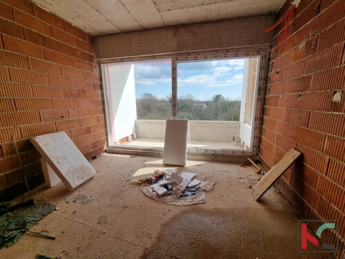 Thumbnail 6230869 - 5