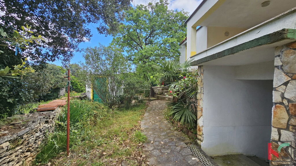 Image 6230877 - 15