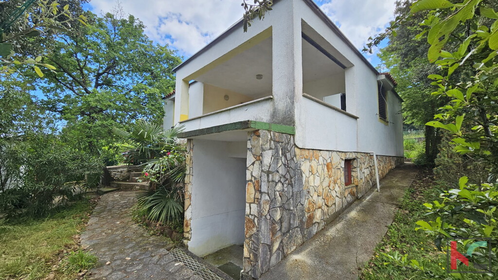 Image 6230877 - 13