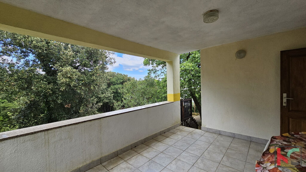 Image 6230877 - 5
