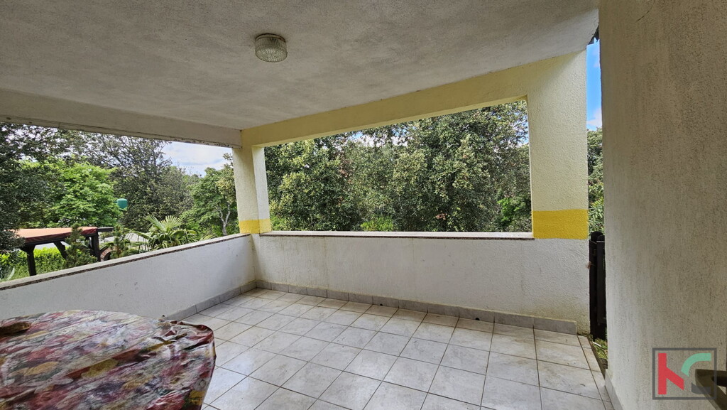 Image 6230877 - 4