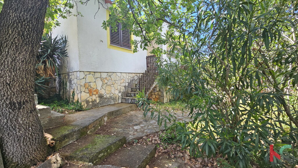Image 6230877 - 3