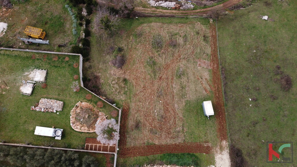 Image 6230884 - 4