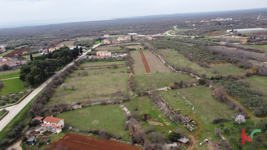 Image 6230884 - 5