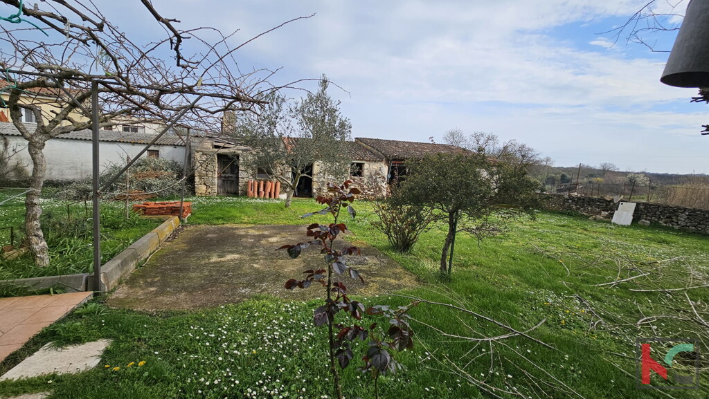Image 6230885 - 9