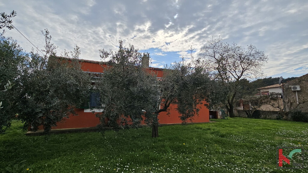 Image 6230885 - 1