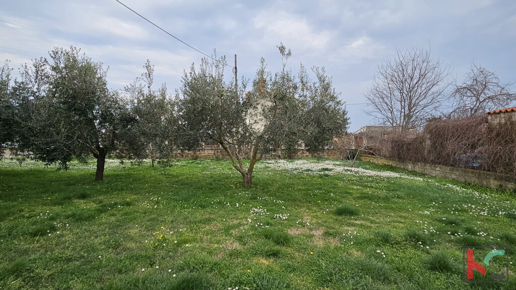 Image 6230885 - 3