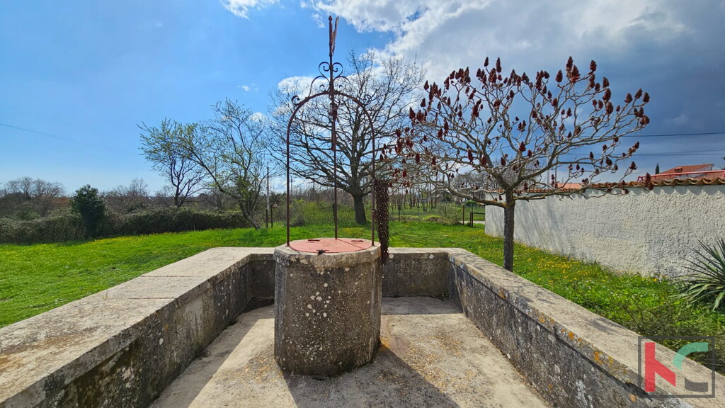 Image 6230887 - 2