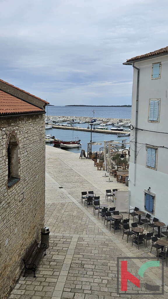 Image 6230890 - 4