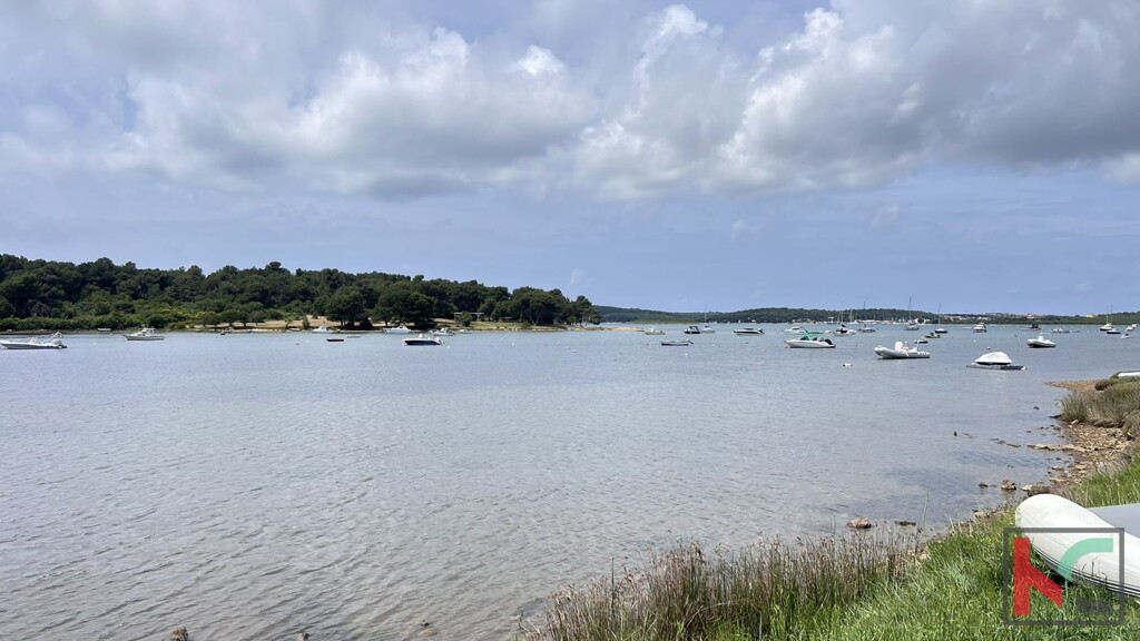 Image 6230908 - 15