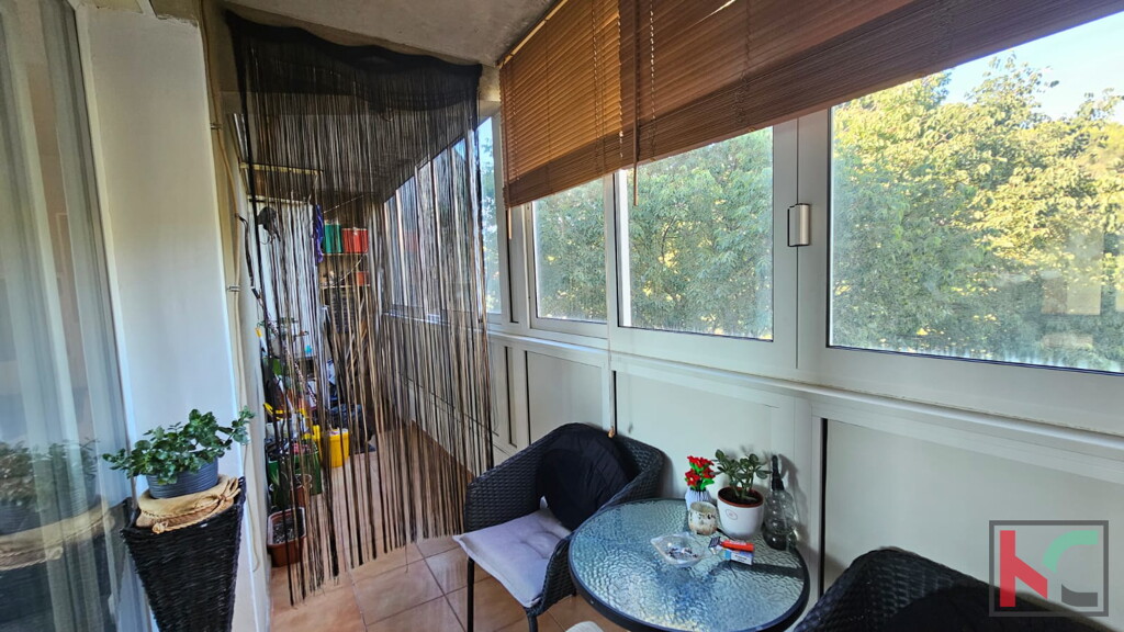 Image 6230912 - 4