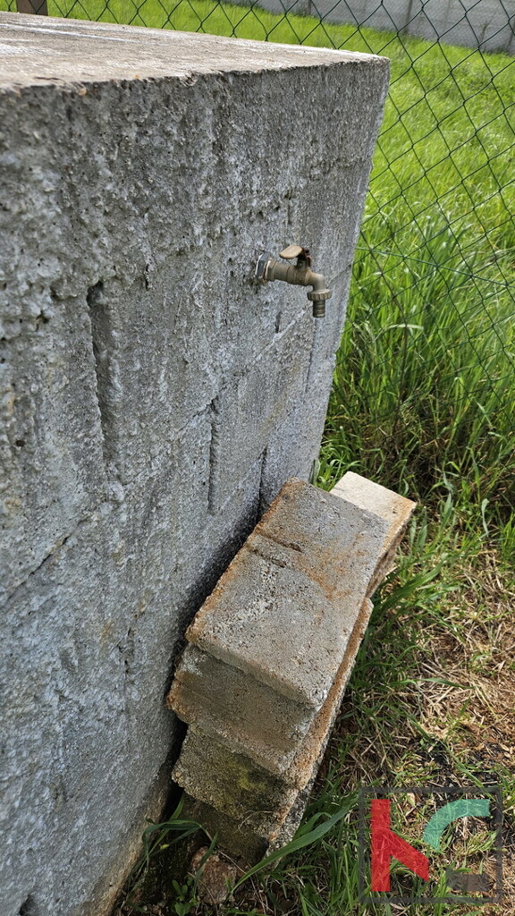 Image 6230915 - 5