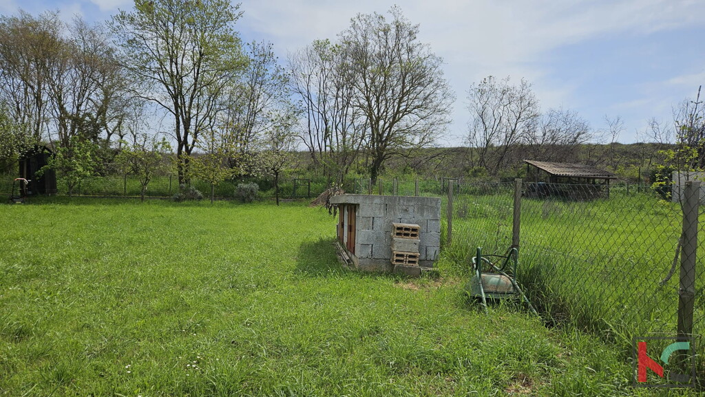 Image 6230915 - 6