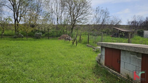 Thumbnail 6230915 - 4