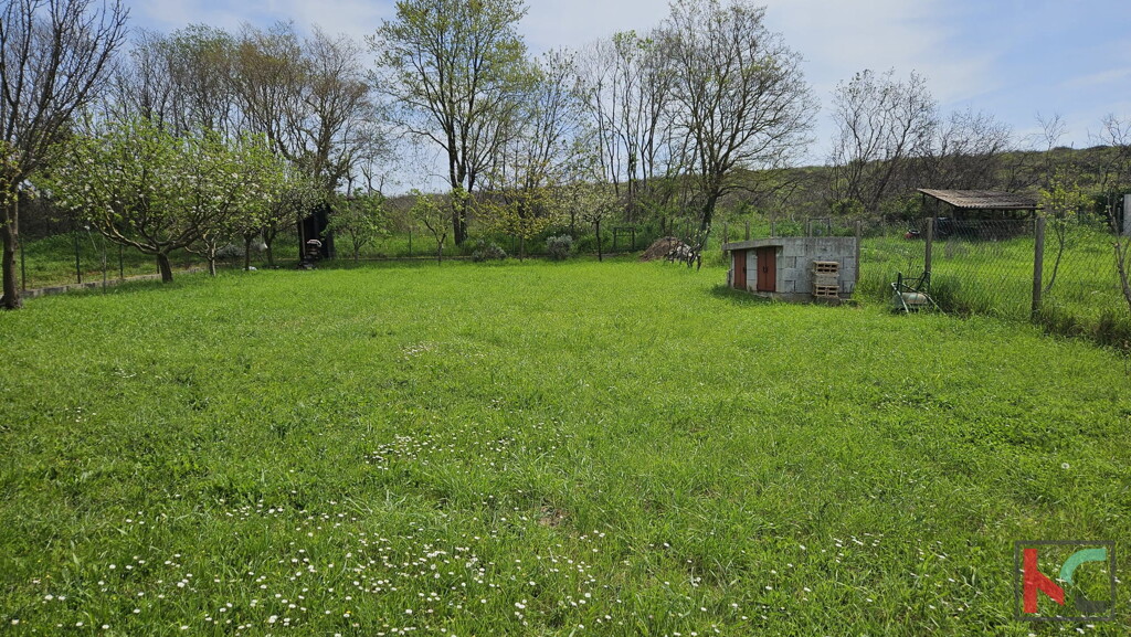 Image 6230915 - 1