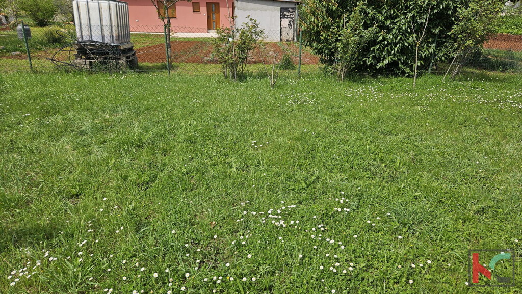 Image 6230915 - 3