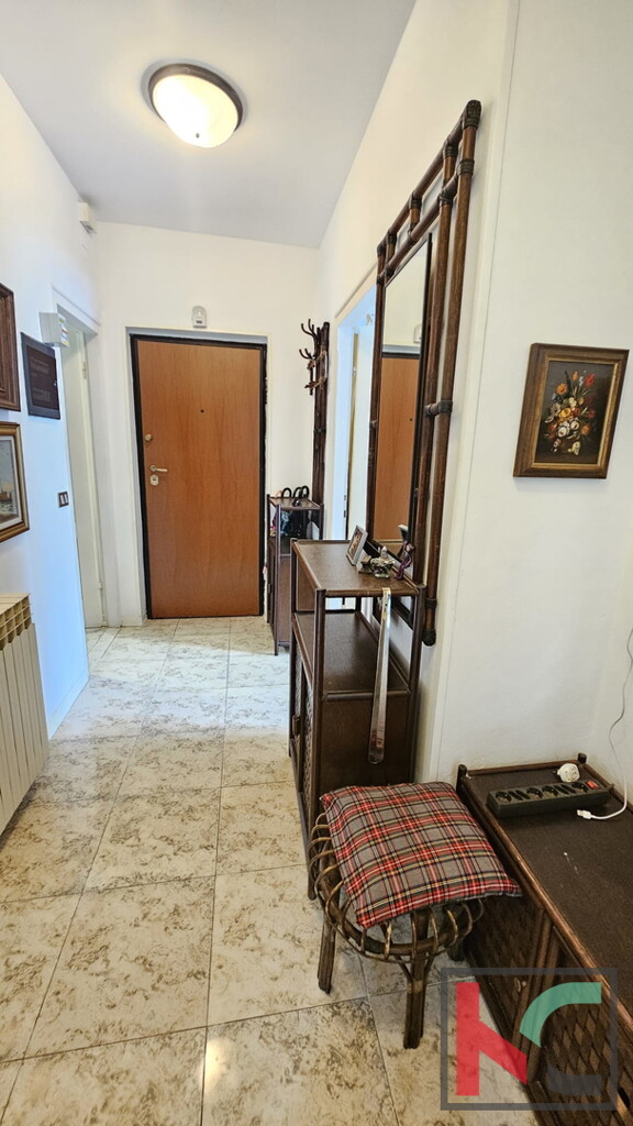 Image 6230917 - 3