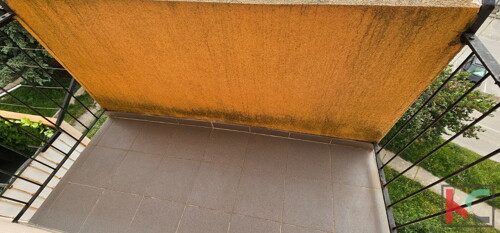 Thumbnail 6230920 - 5