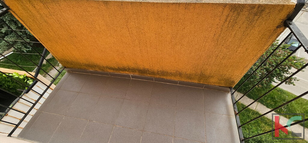 Image 6230920 - 5