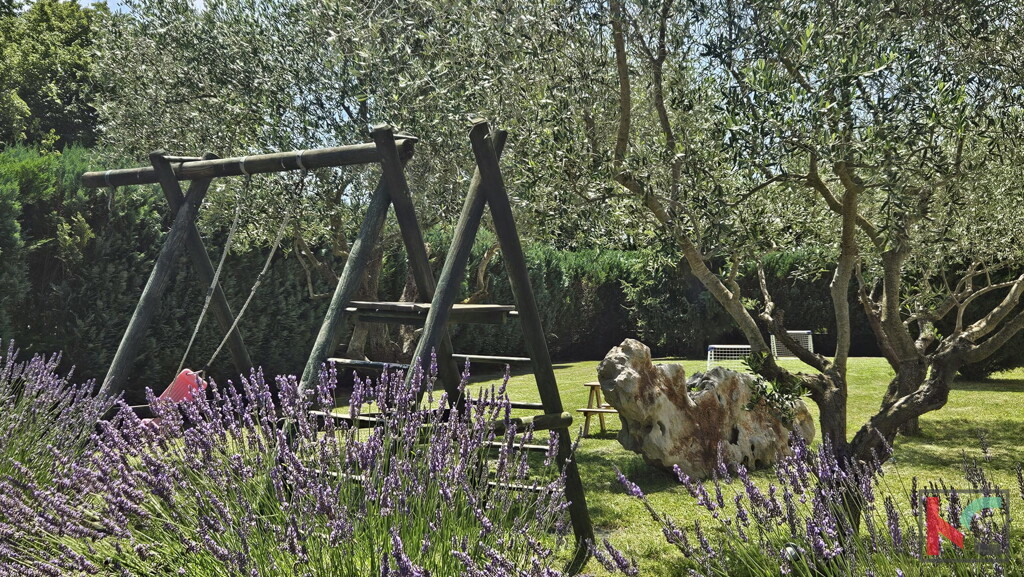 Image 6230921 - 21