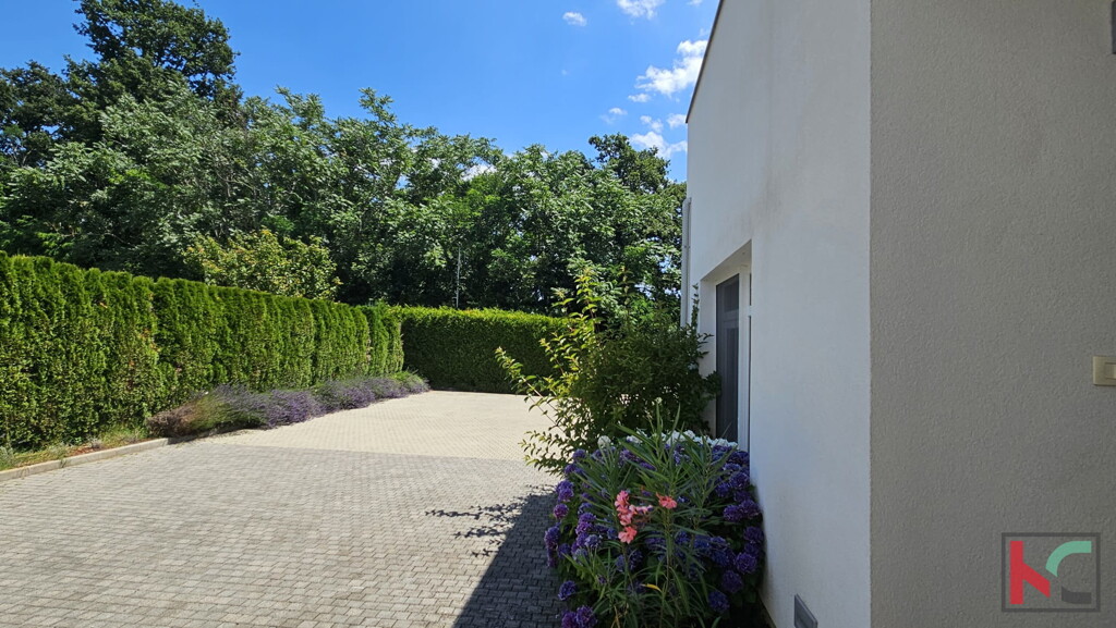 Image 6230921 - 9