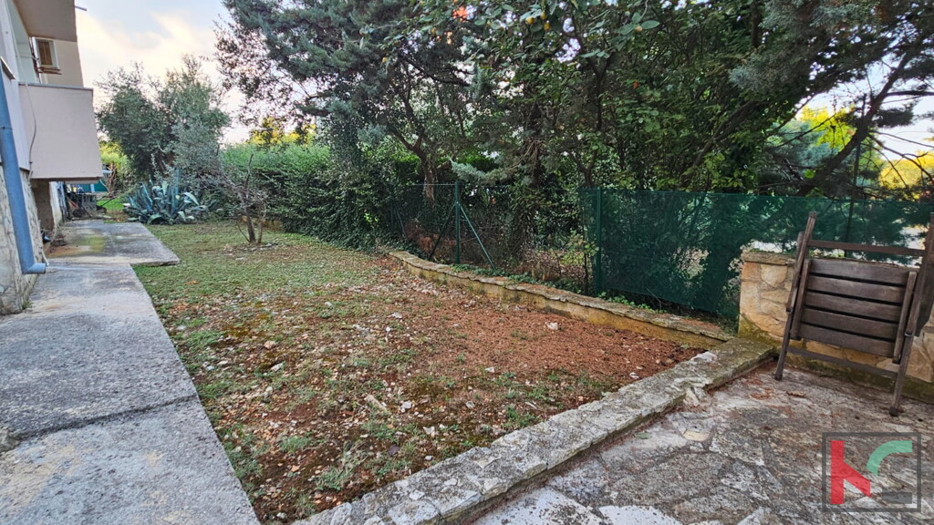 Image 6230925 - 15