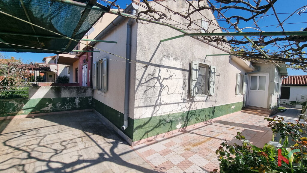 Image 6230927 - 1