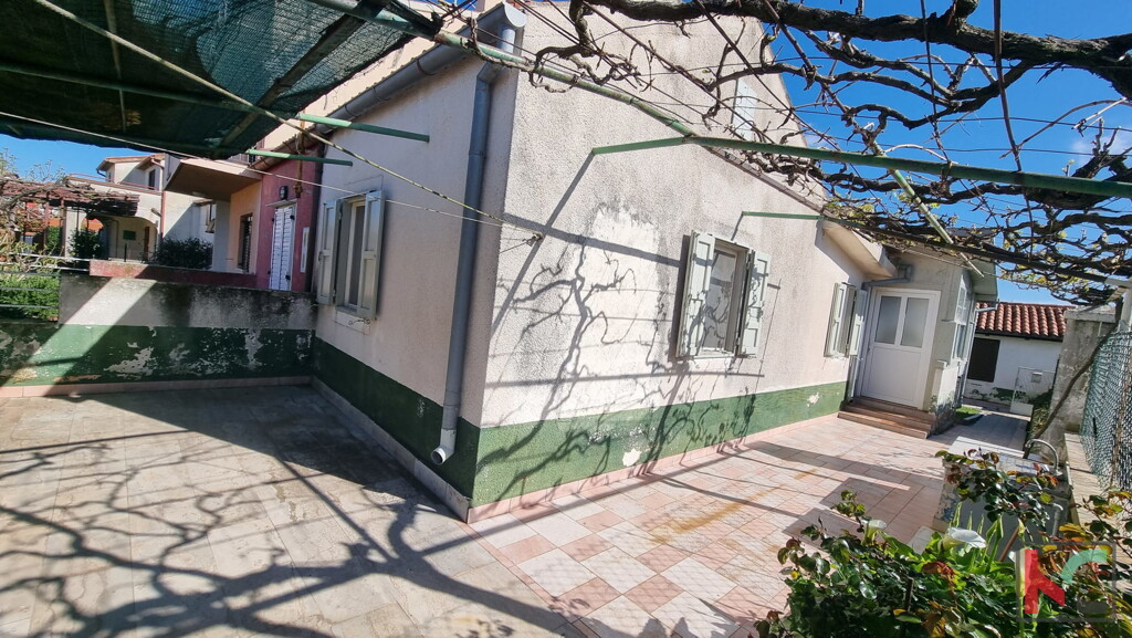 Image 6230927 - 3