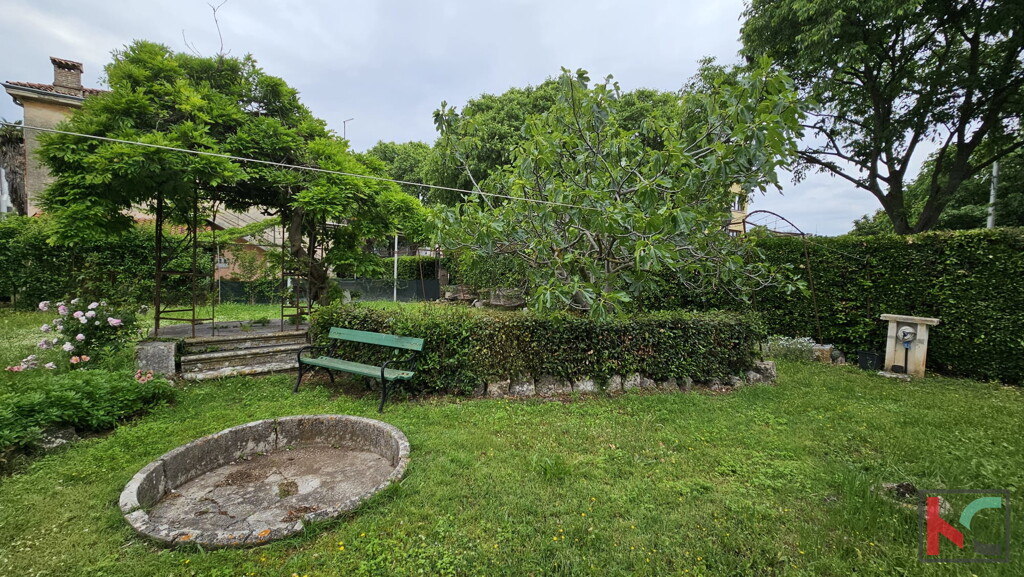 Image 6230931 - 1