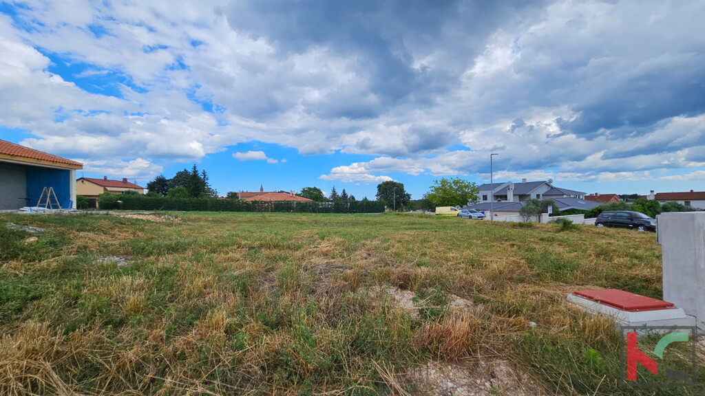 Image 6230935 - 2