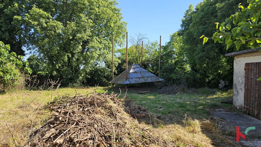 Image 6230940 - 8