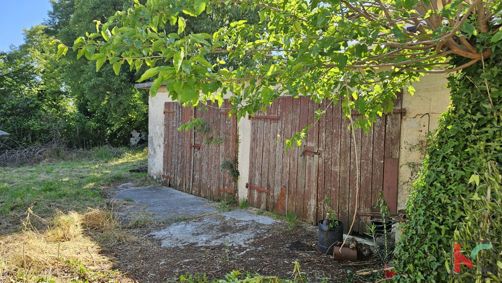 Image 6230940 - 4