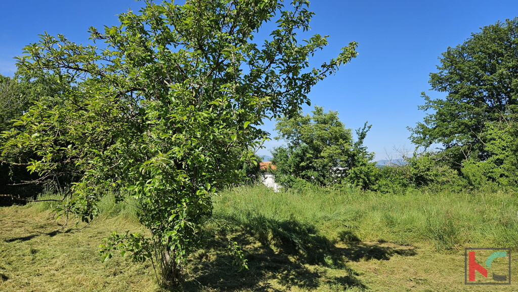 Image 6230940 - 11