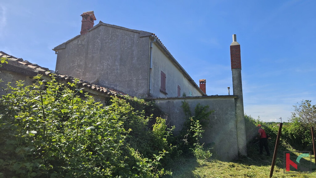Image 6230940 - 1