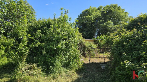 Thumbnail 6230940 - 6