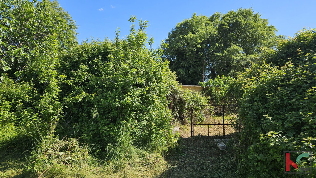 Image 6230940 - 6