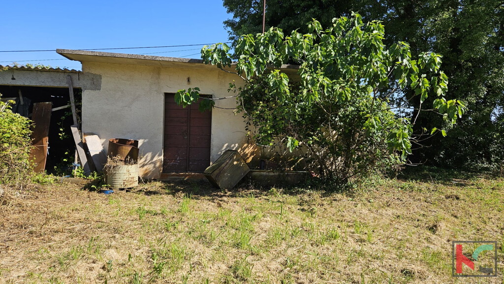 Image 6230940 - 3
