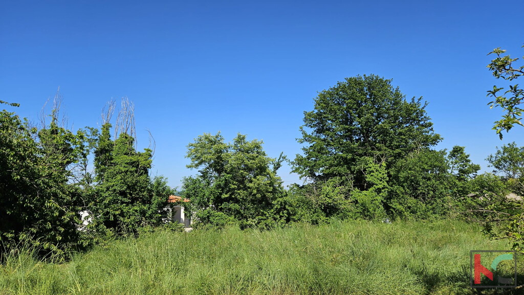 Image 6230940 - 5