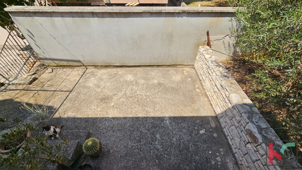 Image 6230944 - 19