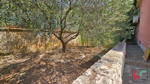 Thumbnail 6230944 - 4