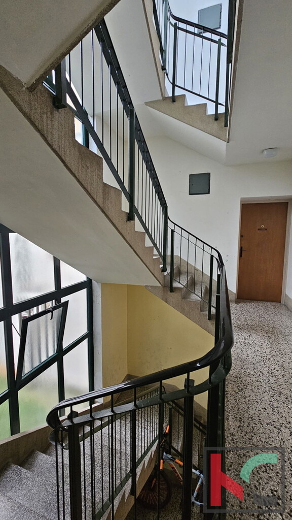 Image 6230948 - 11