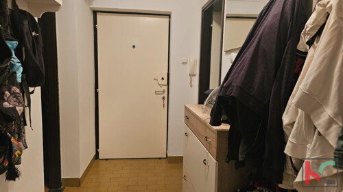 Thumbnail 6230951 - 8