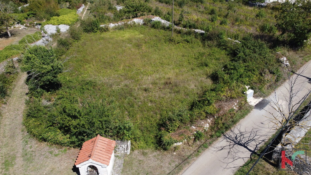 Image 6230964 - 2