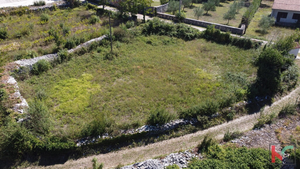 Image 6230964 - 12