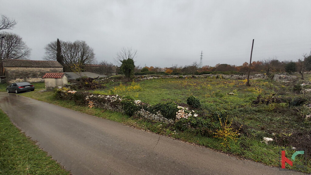 Image 6230964 - 8