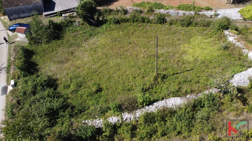 Image 6230964 - 13
