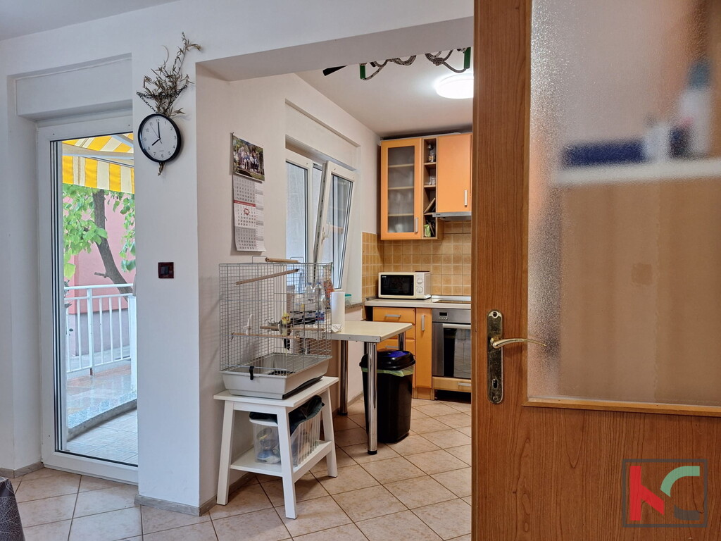 Image 6230967 - 7